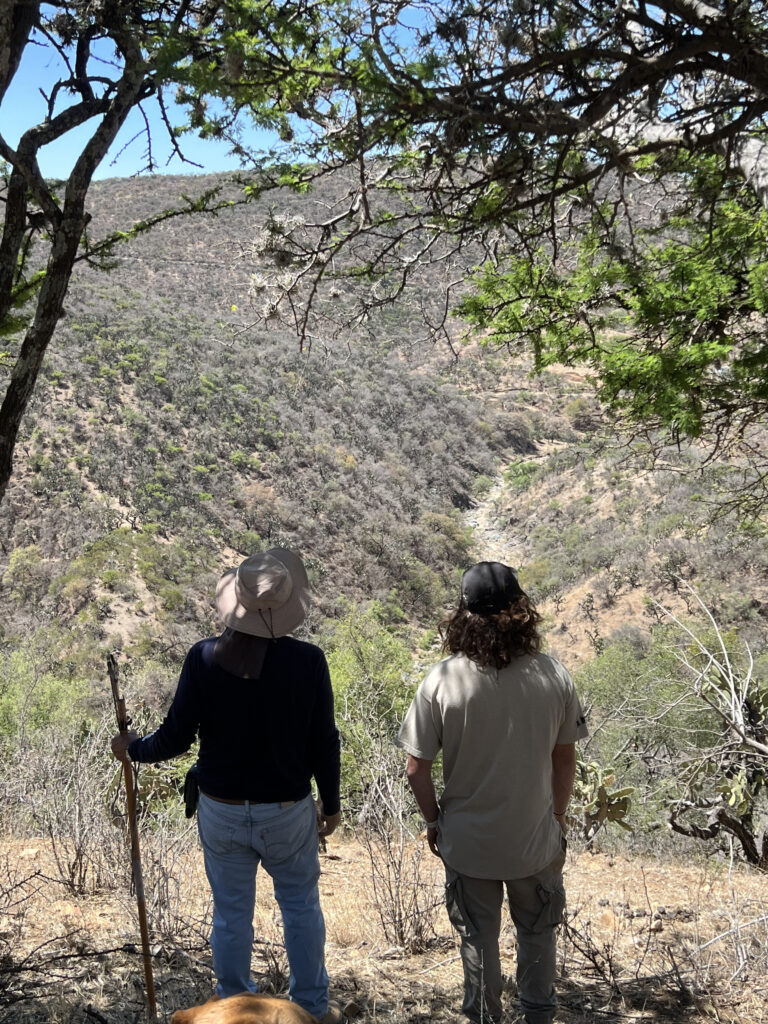 Nosotros, Gepe y Alfonso, los dos creadores de Saucillo Bikepark, de espaldas mirando el parque.